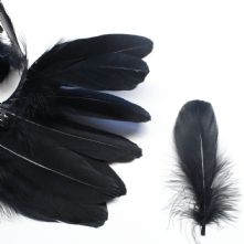 Black Goose Coquaille Feathers